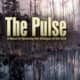The Pulse